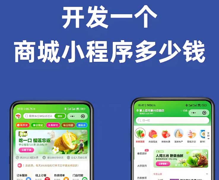 ? 小程序開(kāi)發(fā) 電商平臺(tái) | 購(gòu)物車(chē)、支付系統(tǒng)、會(huì)員管理一站式搭建